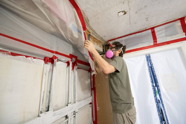 Best Mold Damage Restoration  in Hereford, TX