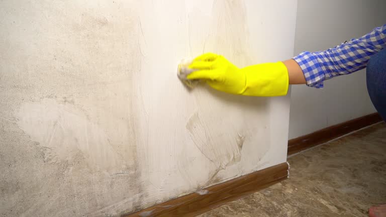 Best Mold Removal for HVAC Installations  in Hereford, TX