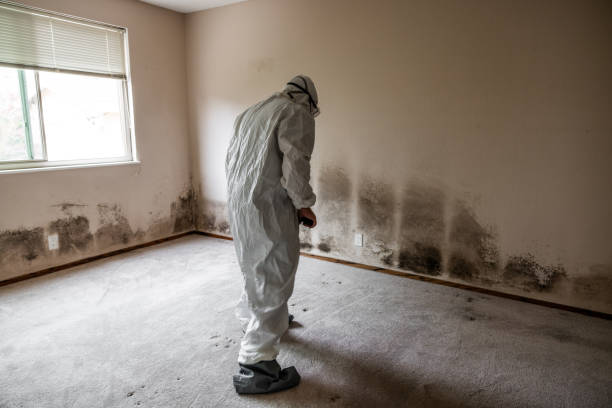 Mold Remediation for Rental Properties in Hereford, TX
